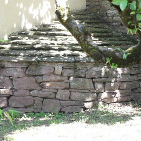 Gite L'Oustal Occitan A Saint-Juery Vila Exterior foto