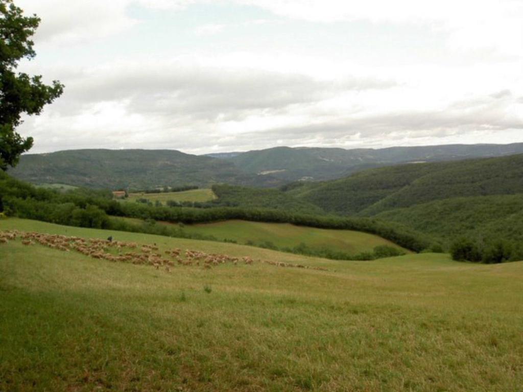 Gite L'Oustal Occitan A Saint-Juery Vila Exterior foto